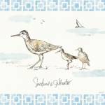 Sandpiper Sea II by Anne Tavoletti