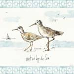 Sandpiper Sea IV by Anne Tavoletti