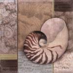 Santa Rosa Shell II by Paul Brent