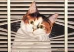 Sassy Lara by Lowell Herrero