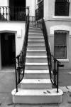 savanah stairs II by Robert Jones
