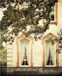 Savannah Charm I by Irene Suchocki