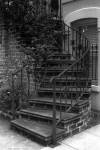 Savannah stairs III by Robert Jones