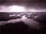 Scale Moor by Martin Henson