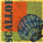 Scallop by Julie Ueland