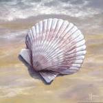 Scallop by Georgia Janisse