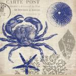 Sea Collage II by Paula Scaletta