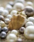 Sea Jewels III by Boyce Watt