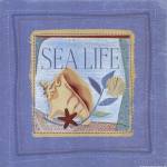 Sea Life by Jessica Flick