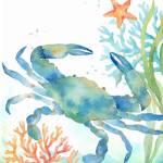 Sea Life Serenade II by Cynthia Coulter