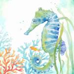 Sea Life Serenade III by Cynthia Coulter