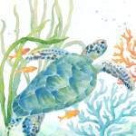 Sea Life Serenade IV by Cynthia Coulter