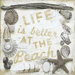 Sea Shell Collage II by Andrea Haase