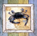 Sea Treasures VII by Beth Anne Creative