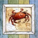Sea Treasures VIII by Beth Anne Creative