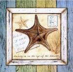 Sea Treasures XII by Beth Anne Creative