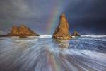 Seagull Storm Watch by Darren White Photography