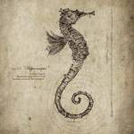 Seahorse by Sidney Paul and Co.