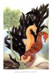 Seahorse Serenade I by Charles Alexander