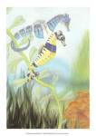 Seahorse Serenade III by Charles Alexander