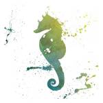 Seahorse Splatter by Jace Grey