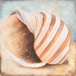 Seashell Collection I by Patricia Pinto