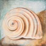 Seashell Collection IV by Patricia Pinto