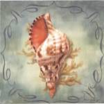 Seashells I by Marissa Decinque