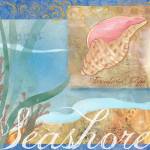 Seashells I by Fiona Stokes-Gilbert