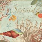 Seaside by Aimee Wilson