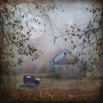 Seen Better Days by Dawne Polis