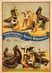 Sells Brothers Sea Lion Circus