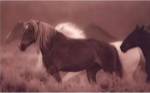 Sepia Horses by Gary Crandall