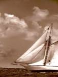 Sepia Sails II by Cory Silken