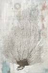 Shabby Chic I by Aimee Wilson