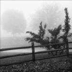 Shades Of Grey 2 by Harold Silverman