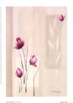 Shades Of Pink ll by Simone Devalle