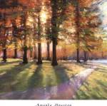 Shadows by Amanda Houston