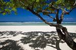Shadows On The Beach by Istvan Nagy