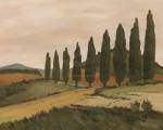 Shady Tuscan Road by John Clark