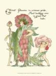 Shakespeare's Garden V (Peony) by Walter Crane