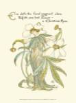 Shakespeare's Garden XII (Christmas Rose) by Walter Crane