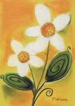 Shasta Daisy by Dona Turner