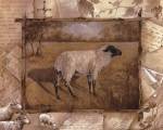 Sheep by Anita Phillips