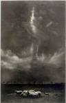 Sheep Under Cloud by Harold Feinstein