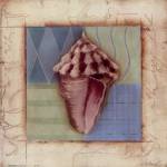 Shell Accents I by Celeste Peters