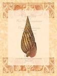 Shell Botanical III