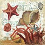 Shell Collector 1I by Art Licensing Studio