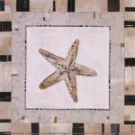Shell Simplicity II by Kate & Liz Pope