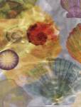 Shell Suite I by Robert Mertens